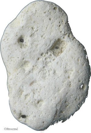 100505cailloutete
