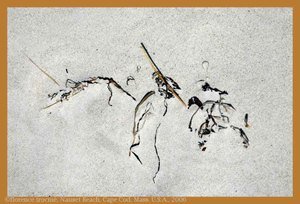 02_warren 02_warren