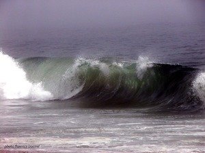 040305vague_copie