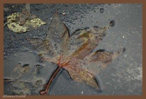 04_fargier 04_fargier