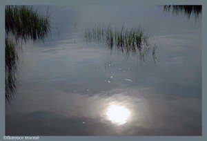 04_giraudon 04_giraudon