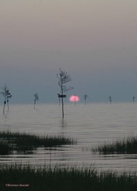 061005_jaccottet