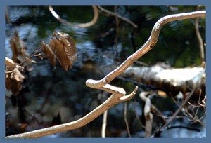 07_kurtovitch_1 07_kurtovitch_1