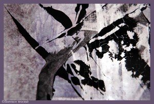 10_cixous
