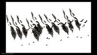 11_marie_etienne