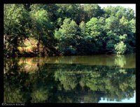 12_margantin 12_margantin