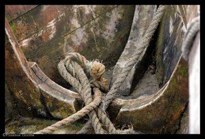 14_josse 14_josse