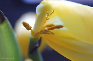 191105_leclair 191105_leclair