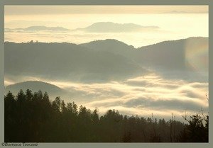 19_hoffmanstahl 19_hoffmanstahl