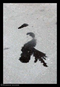 19_pessoa_1 19_pessoa_1