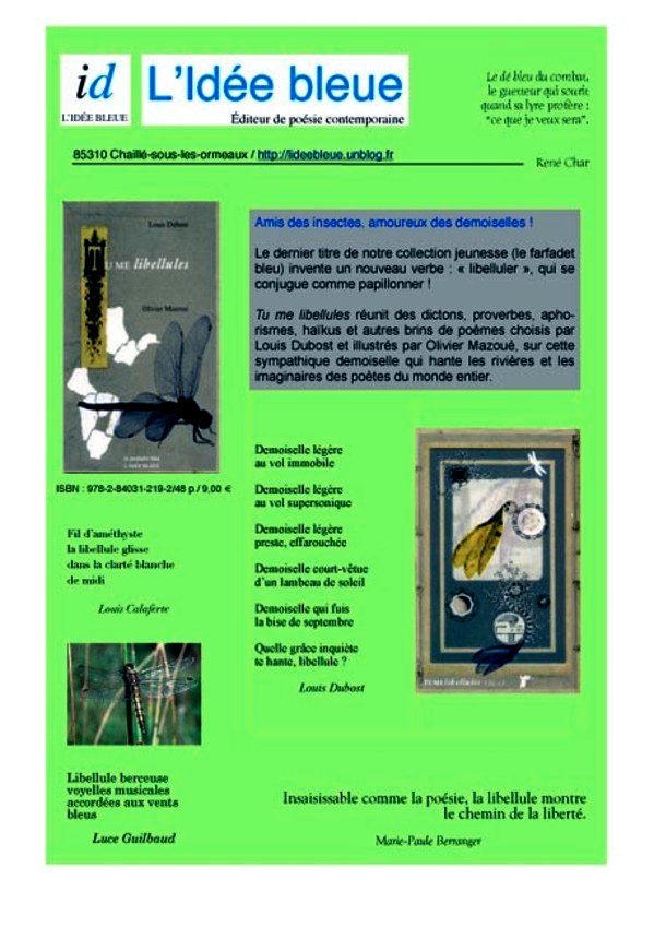 Newsletter_libellule_copie Newsletter_libellule_copie
