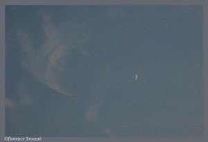 21_munier 21_munier
