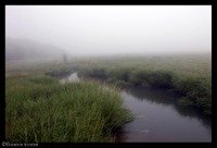 22_para 22_para