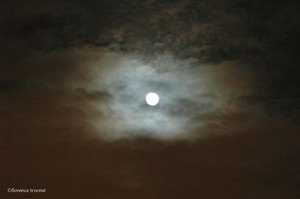 231105_mistral 231105_mistral