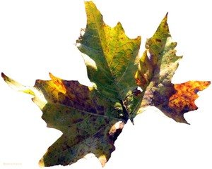 23_lavant_2 23_lavant_2