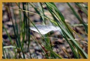 25_marilyn_brewster