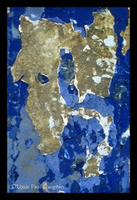 25_stubbe_tte_bleue 25_stubbe_tte_bleue