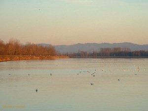281105_margantin_rhin_2 281105_margantin_rhin_2