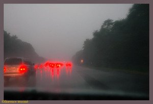 28_vignoli 28_vignoli