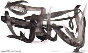 300335_ecnre_stefan
