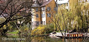 Tour_de_hlderlin_copie Tour_de_hlderlin_copie